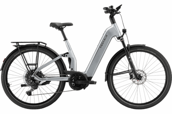 Pegasus Premio Evo FS10 Lite